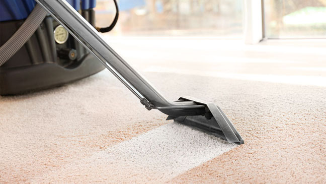 Carpet/Floor Cleaning